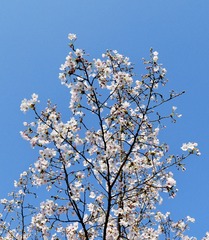 8D05FA65-4EF1-4CEF-9EA8-BD40859F64A2/L0/001