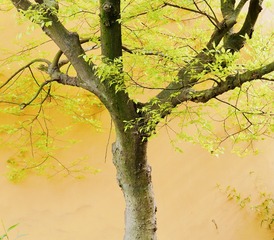 695928EA-4D08-4C04-9B62-251F0DB14063/L0/001