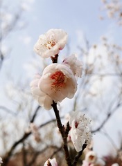 7077C24B-3796-4E05-B357-42C1E2C25AA9/L0/001