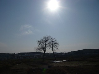 P1000636.JPG