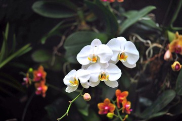 DSC_5826.jpg