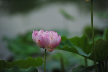 DSC_3384.JPG