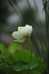 DSC_3387.JPG