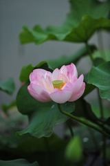 DSC_3392.JPG