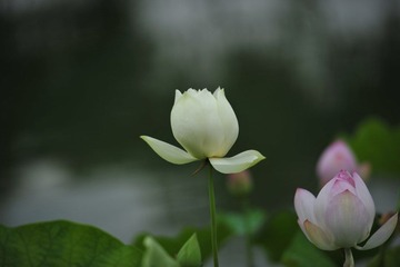 DSC_3398.JPG