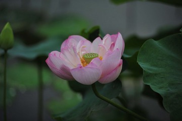DSC_3400.JPG