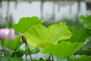 DSC_3402.JPG