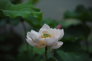 DSC_3404.JPG