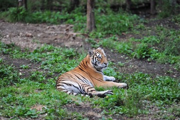 DSC_4210.jpg