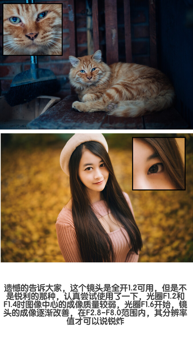 156554939.jpg