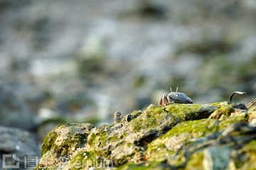 _DSC8631