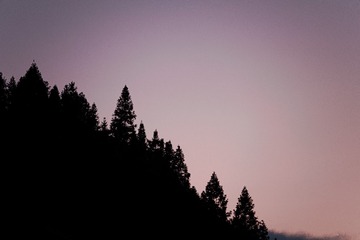 2FEB7E5B-D545-4DF4-9E90-4A578B40D3A2/L0/001