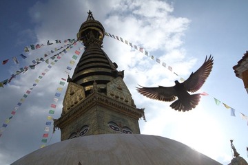 IMG_4290.JPG