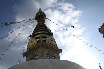 IMG_4292.JPG