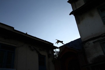 IMG_4348.JPG