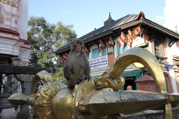 IMG_4372.JPG