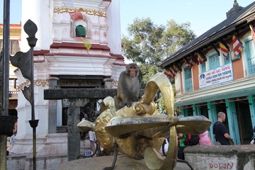 IMG_4379.JPG