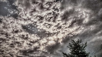 IMG_20150823_090424