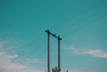 1233626