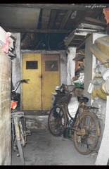IMGP0289_副本.jpg