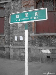 IMGP0269_副本.jpg
