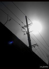 IMGP0303_副本.jpg