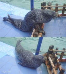 DSC02586_副本.jpg