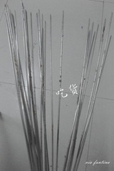 DSC02651_副本.jpg