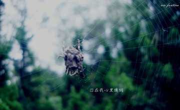 DSC02677_副本.jpg