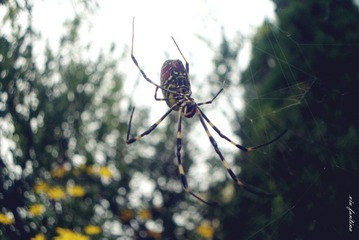 DSC02689_副本.jpg