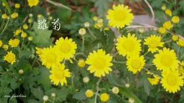 DSC02738_副本.jpg