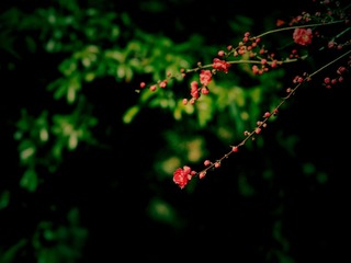 Job_0005_副本