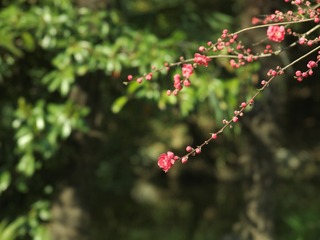 Job_0005