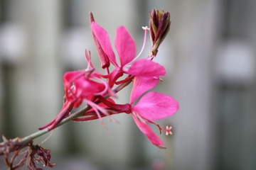 照片2011 027.jpg