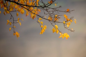 1026703