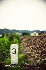 DSC_1795 副本.jpg