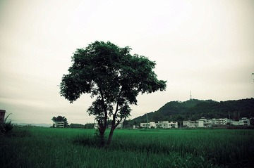 DSC_1821 副本.jpg