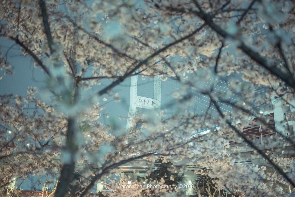 上海“最美的公交车站”——南浦大桥