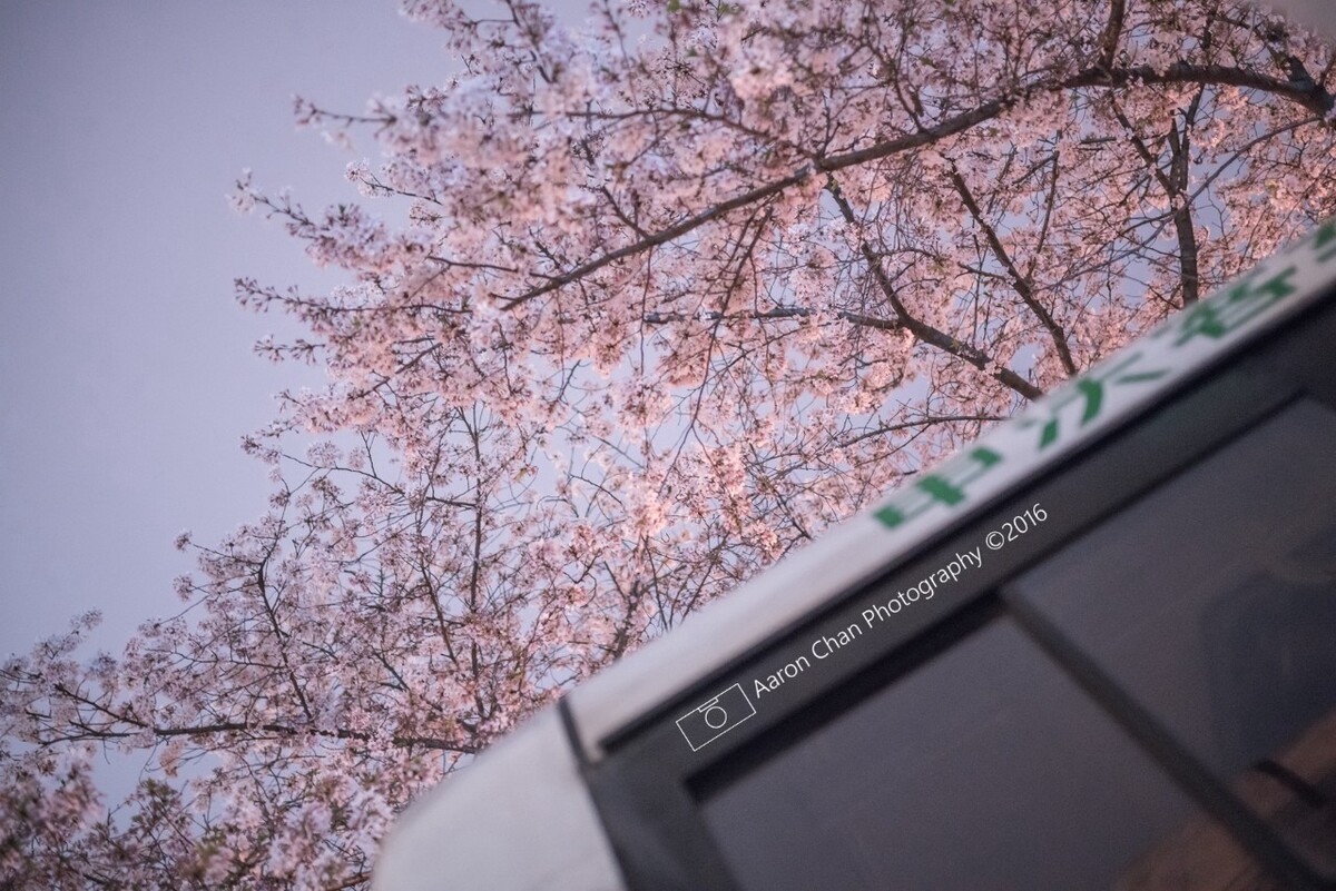 上海“最美的公交车站”——南浦大桥