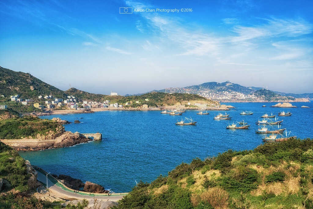 美丽枸杞