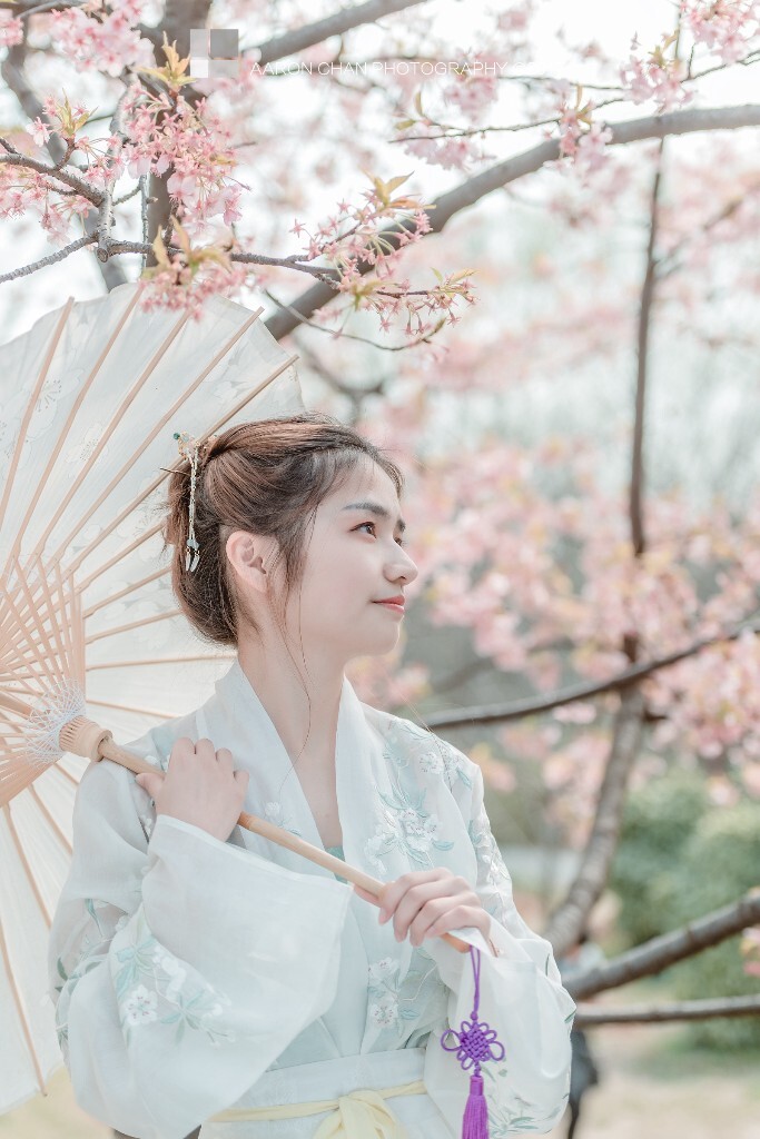 樱花季<br />
出镜：路人甲<br />
地点：顾村公园<br />
