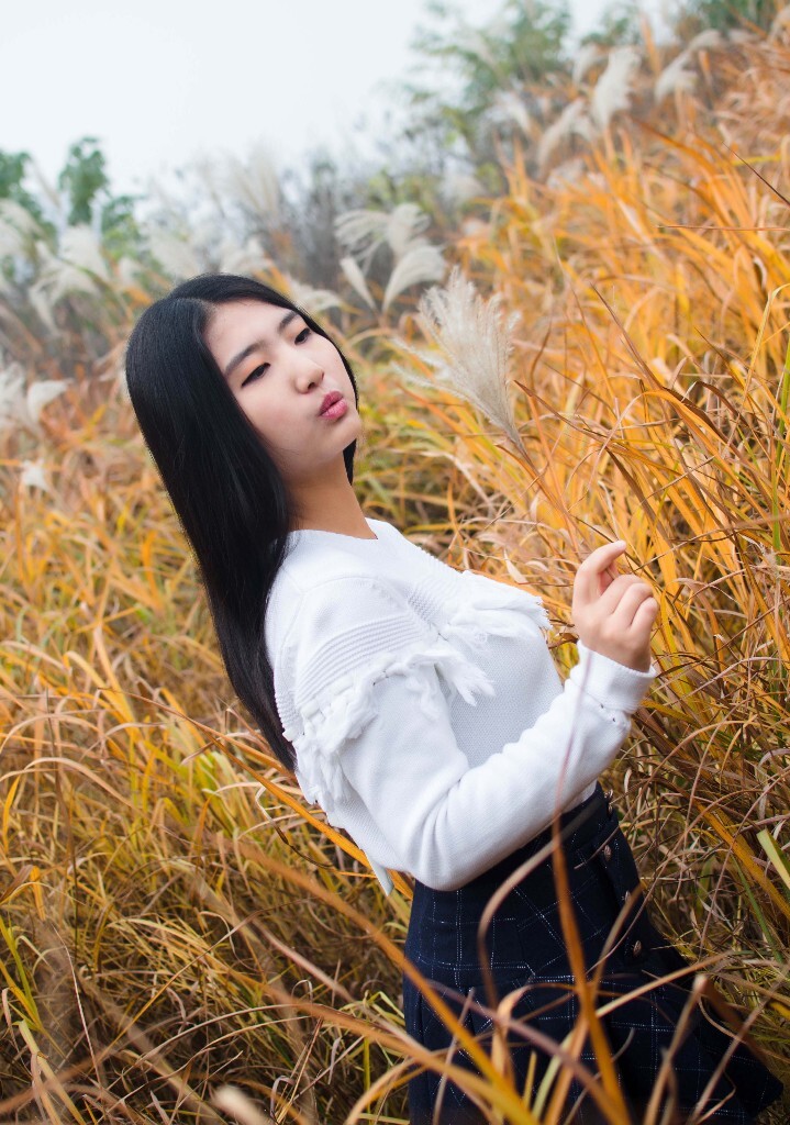 吹不走的思念