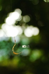 IMG_3759.jpg