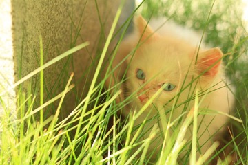 IMG_3998.JPG