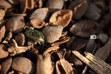 IMG_0186.jpg