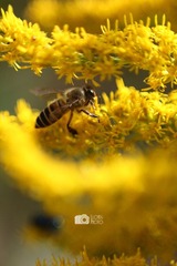 IMG_0123.jpg