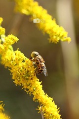 IMG_0112.jpg