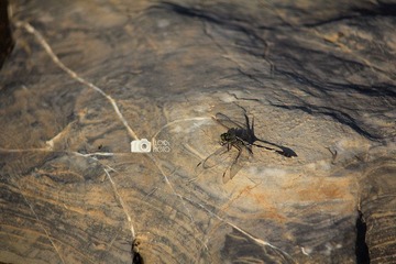 IMG_0173.jpg