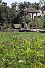 IMG_0125.jpg