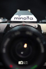 IMG_6392.jpg